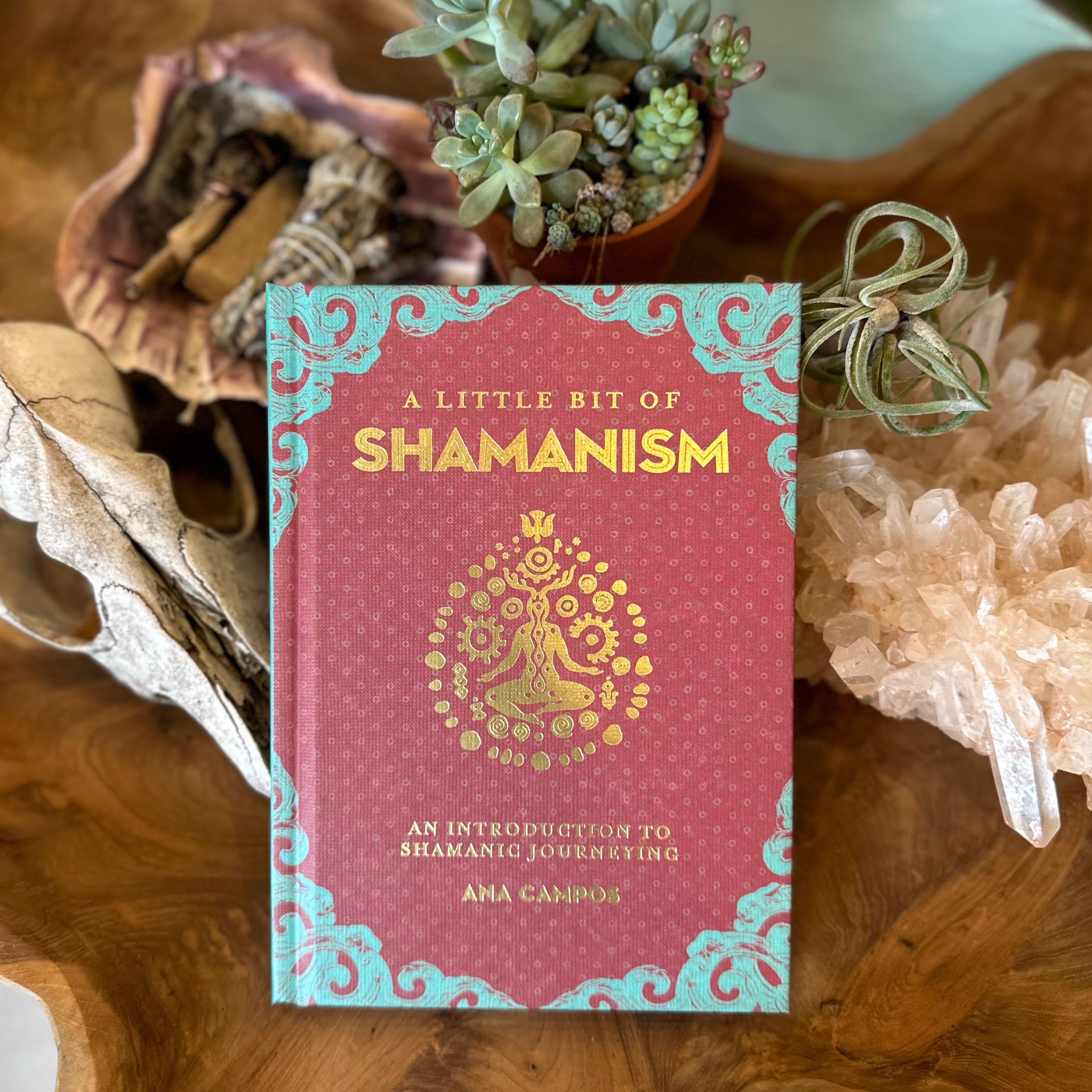 A Little Bit of Shamanism Book