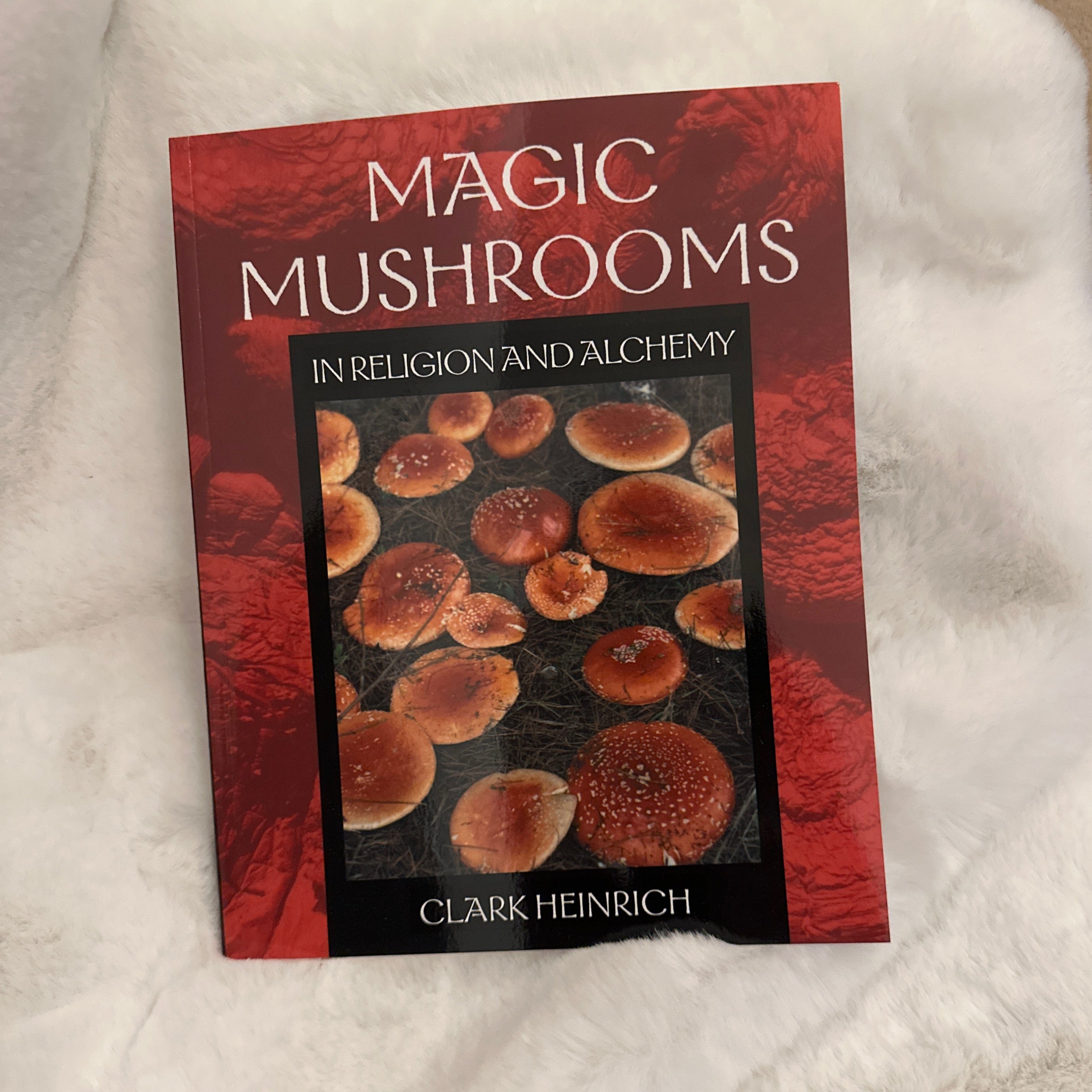 Magic Mushrooms