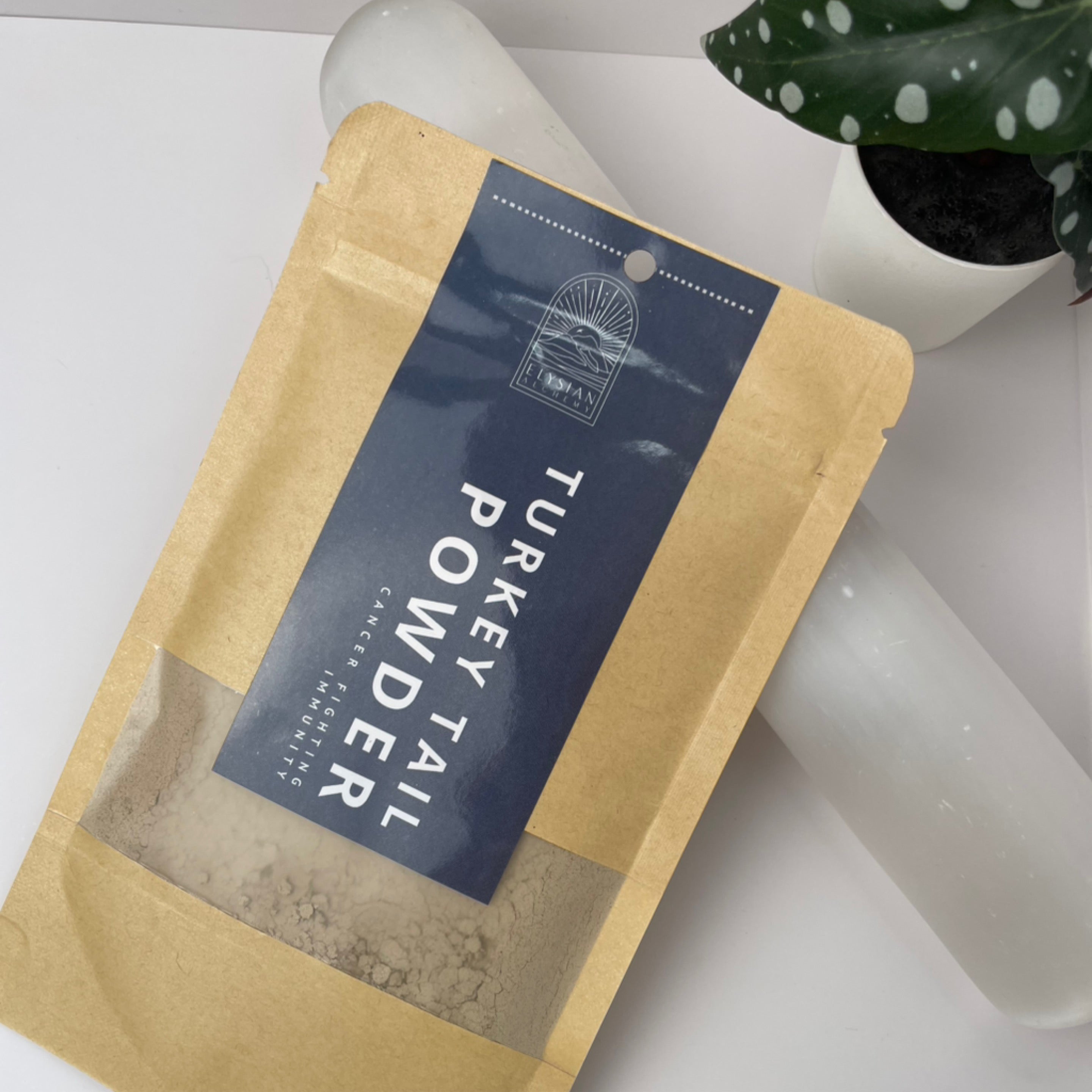 Elysian Turkey Tail Powder