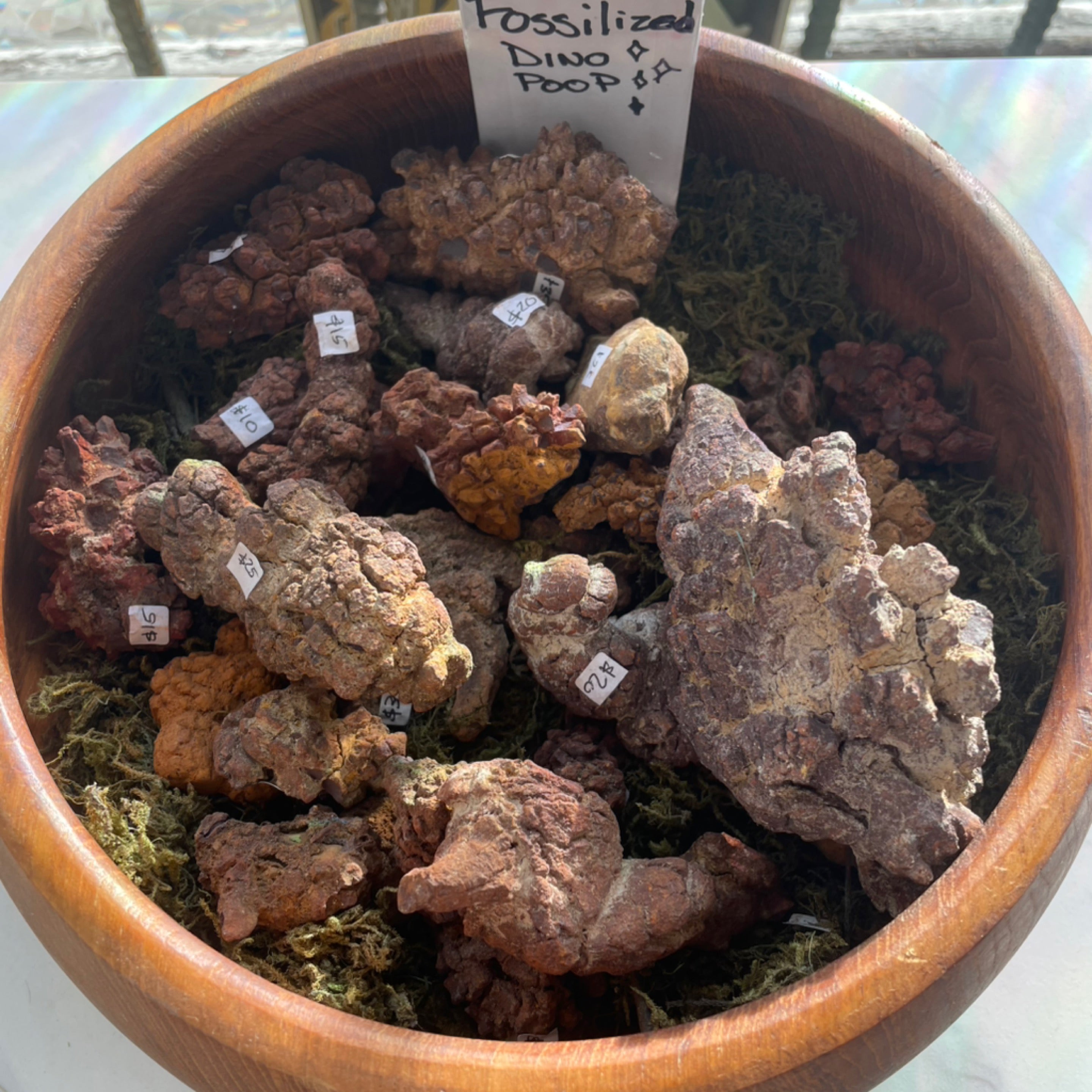 Fossilized Dino Poop