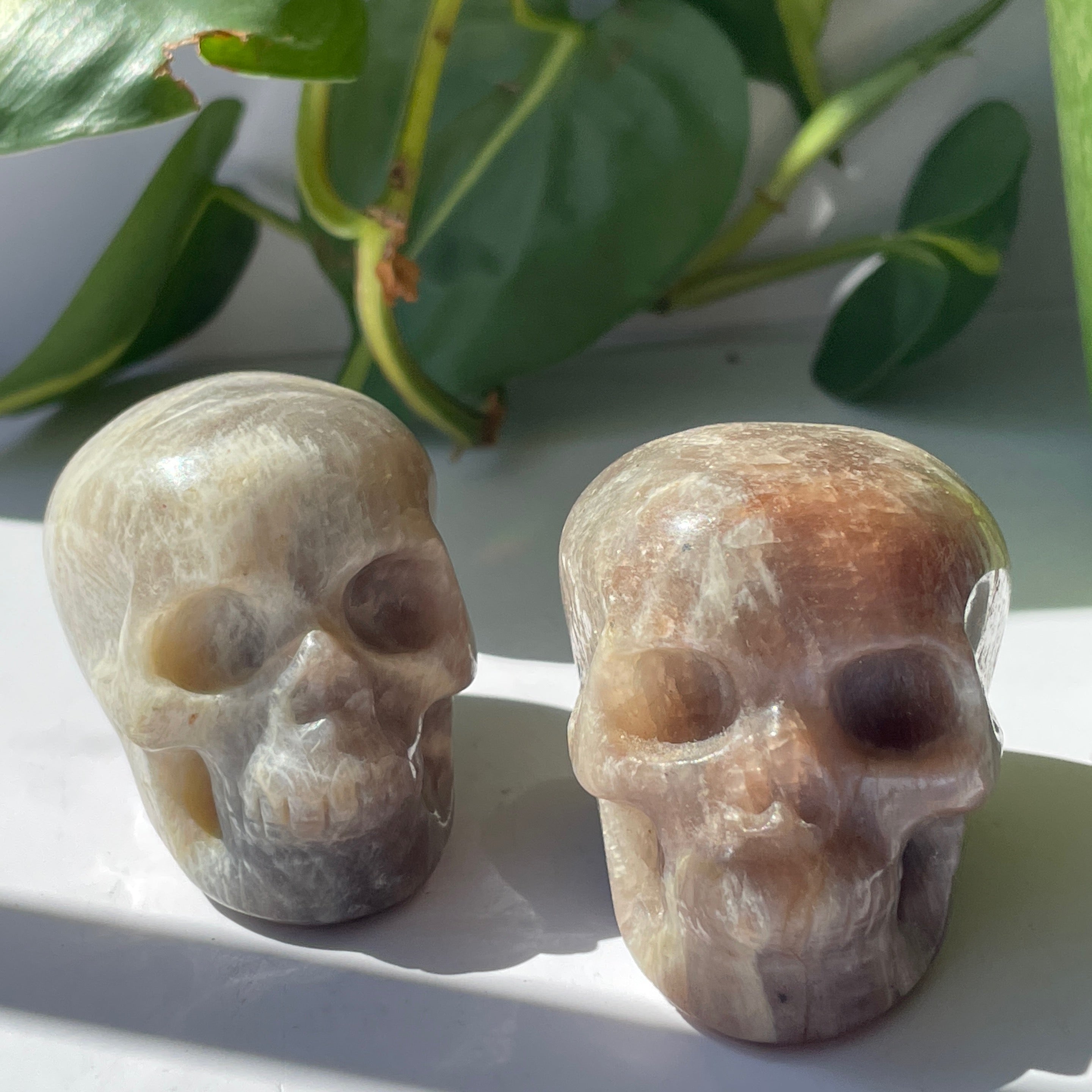 Black Moonstone Skulls