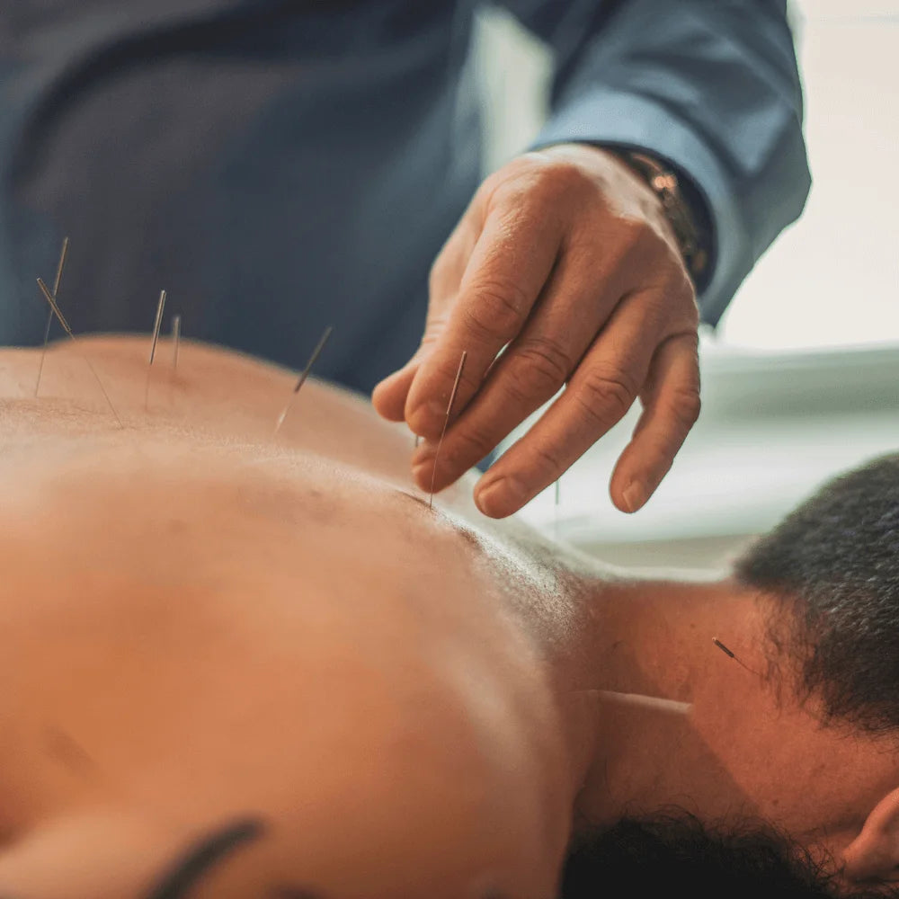 TCM Acupuncture + Sound Healing